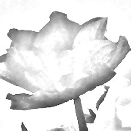 Pencil Sketch 025